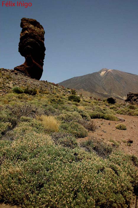 Foto de Tenerife (Santa Cruz de Tenerife), España