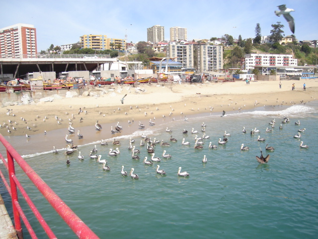 Foto de VALPARAISO, Chile