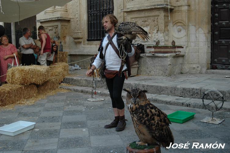 Foto de Jerez  de la Frontera (Cádiz), España