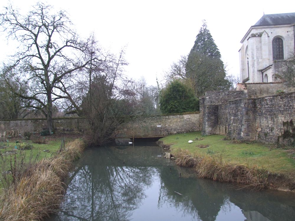 Foto de Nouaille Maupertuis (Francia), Francia