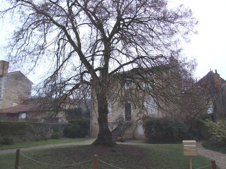 Foto de Nouaille Maupertuis (Francia), Francia