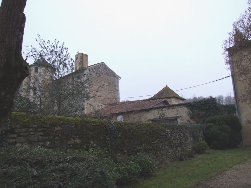 Foto de Nouaille Maupertuis (Francia), Francia