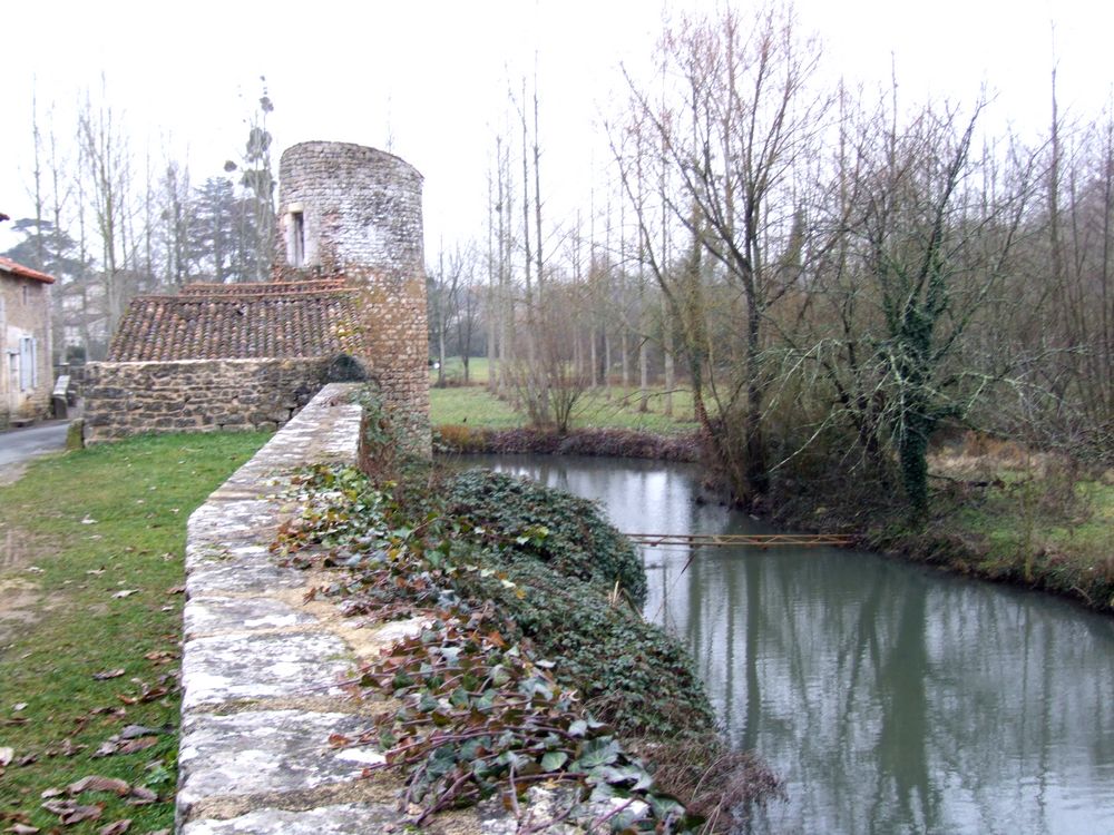 Foto de Nouaille Maupertuis (Francia), Francia