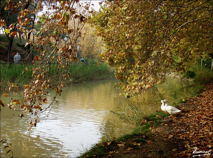 Foto de Zaragoza (Aragón), España