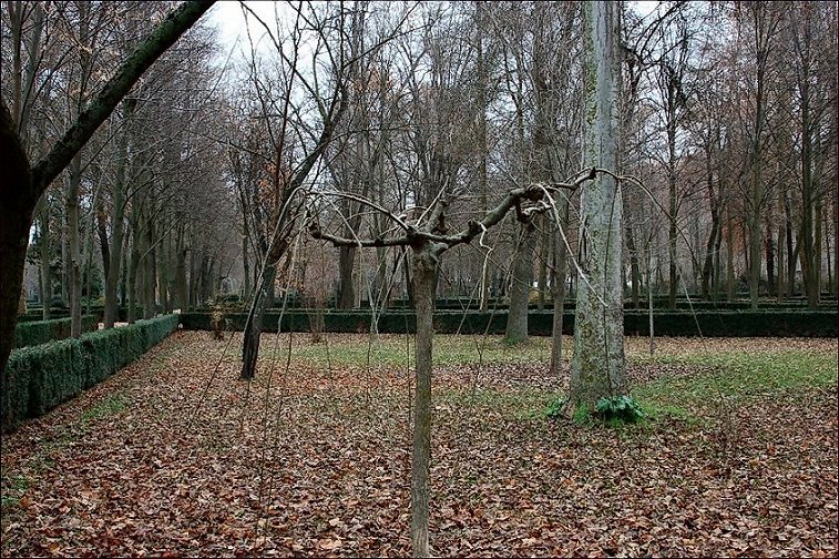 Foto de Aranjuez (Madrid), España