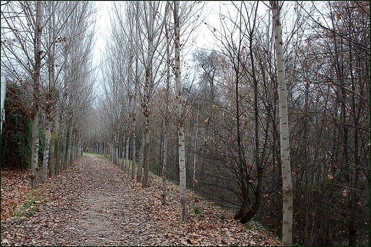 Foto de Aranjuez (Madrid), España