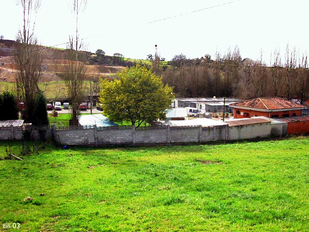 Foto de La Manjoya (Asturias), España