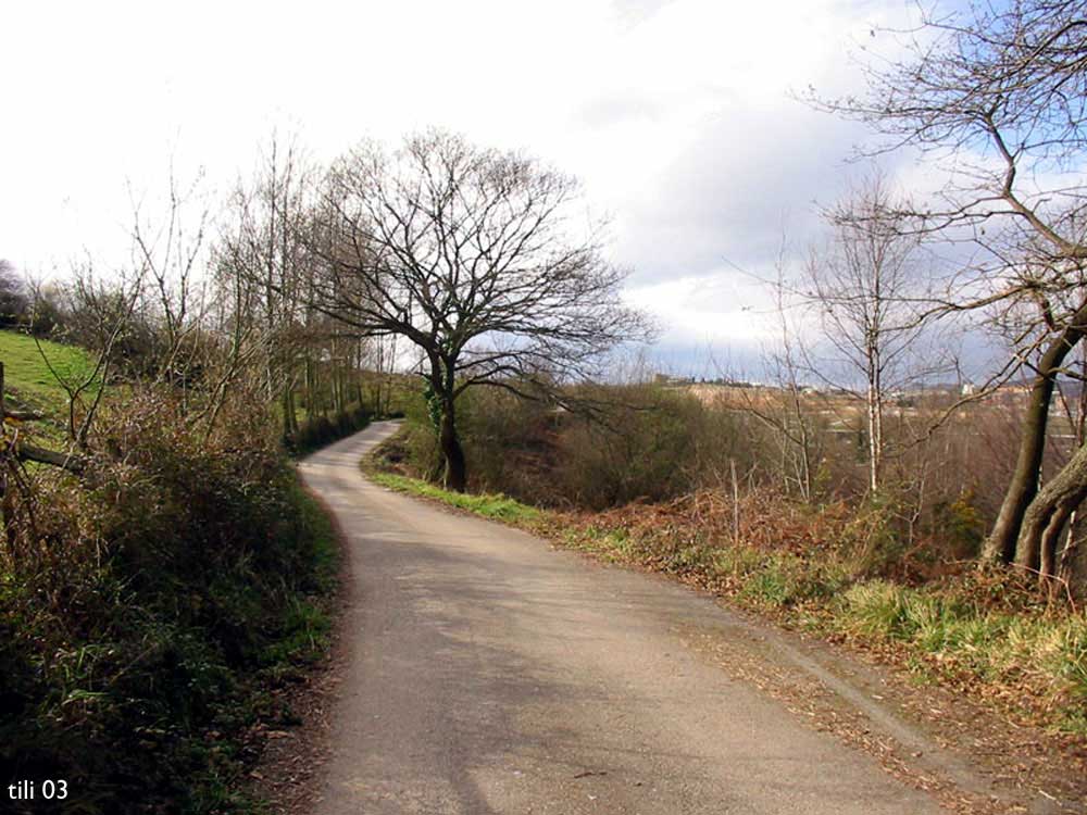 Foto de La Manjoya (Asturias), España