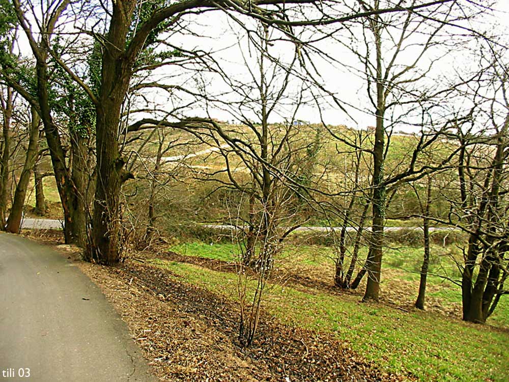 Foto de La Manjoya (Asturias), España