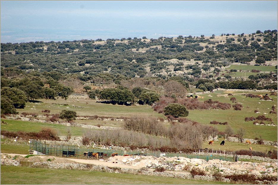 Foto de Ávila (Castilla y León), España