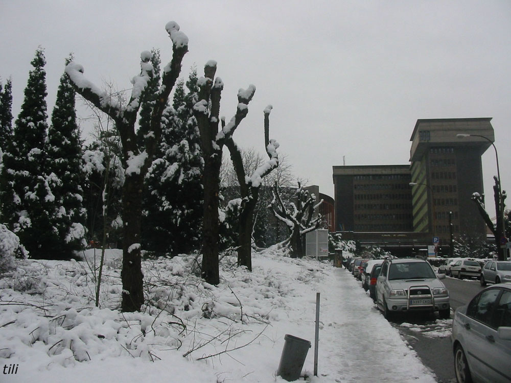 Foto de Oviedo (Asturias), España