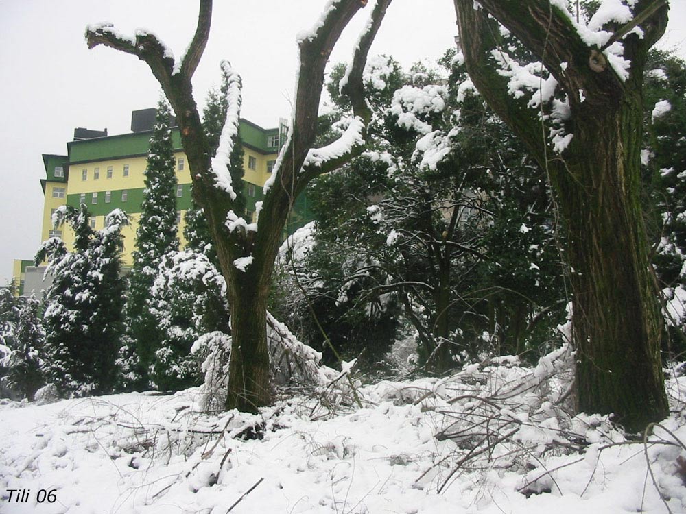 Foto de Oviedo (Asturias), España