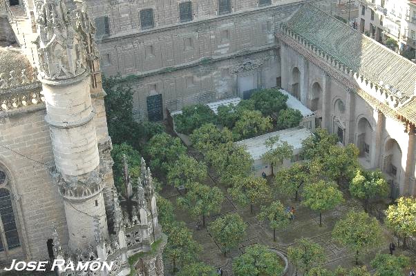 Foto de Sevilla (Andalucía), España