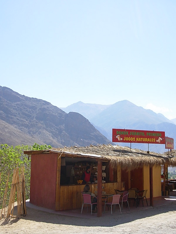 Foto de Paihuano, Chile