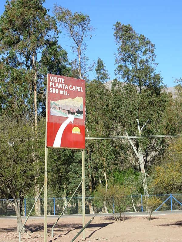 Foto de Vicuña, Chile