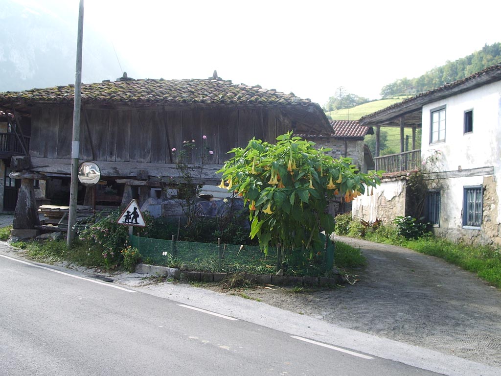 Foto de Espinaredo - Piloña (Asturias), España