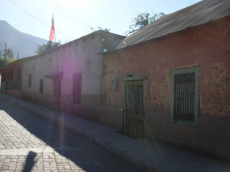 Foto de Vicuña, Chile