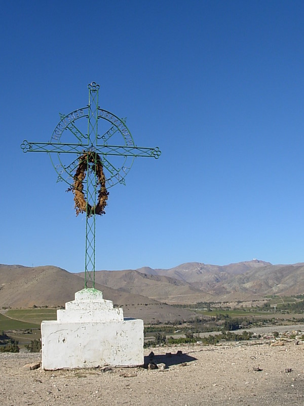 Foto de Vicuña, Chile