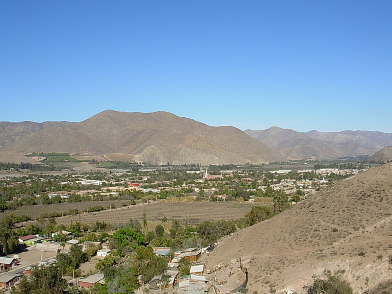 Foto de Vicuña, Chile