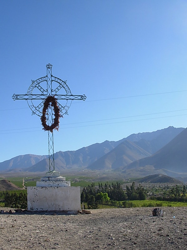 Foto de Vicuña, Chile