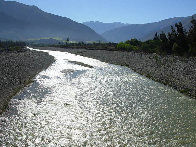 Foto de Vicuña, Chile