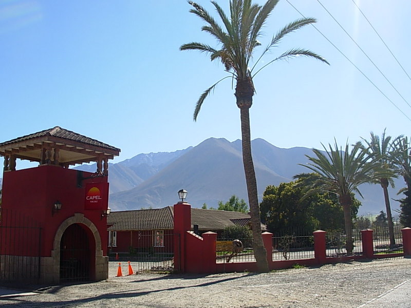 Foto de Vicuña, Chile