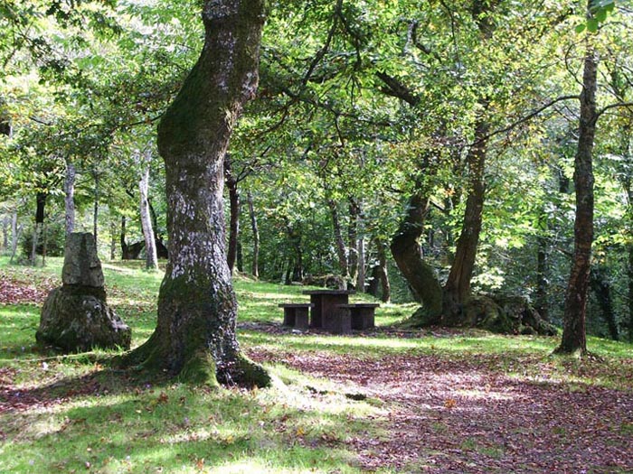 Foto de Piloña (Asturias), España