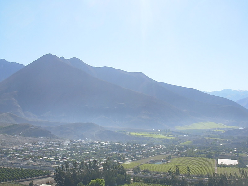 Foto de Vicuña, Chile