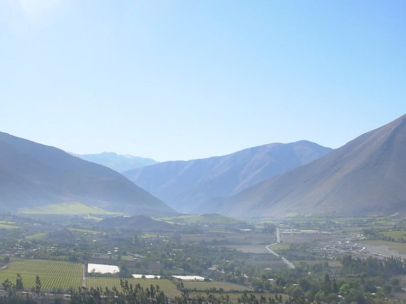 Foto de Vicuña, Chile