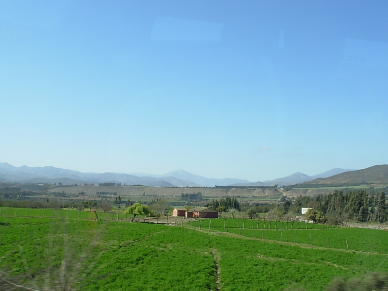 Foto de Vicuña, Chile