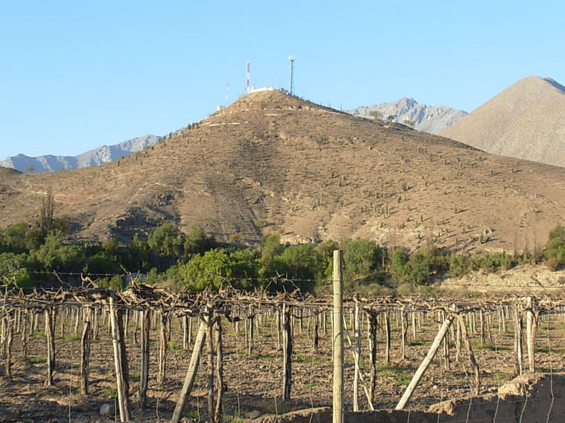 Foto de Vicuña, Chile