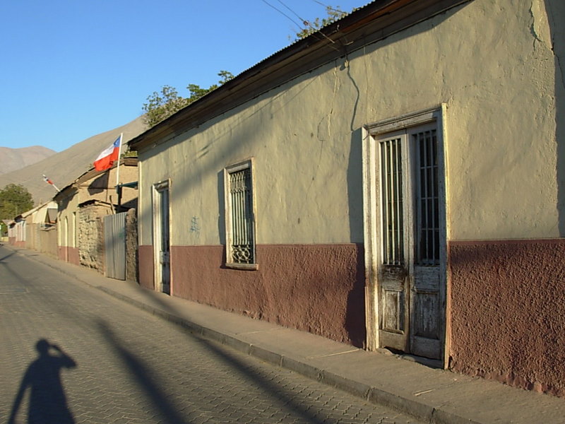 Foto de Vicuña, Chile