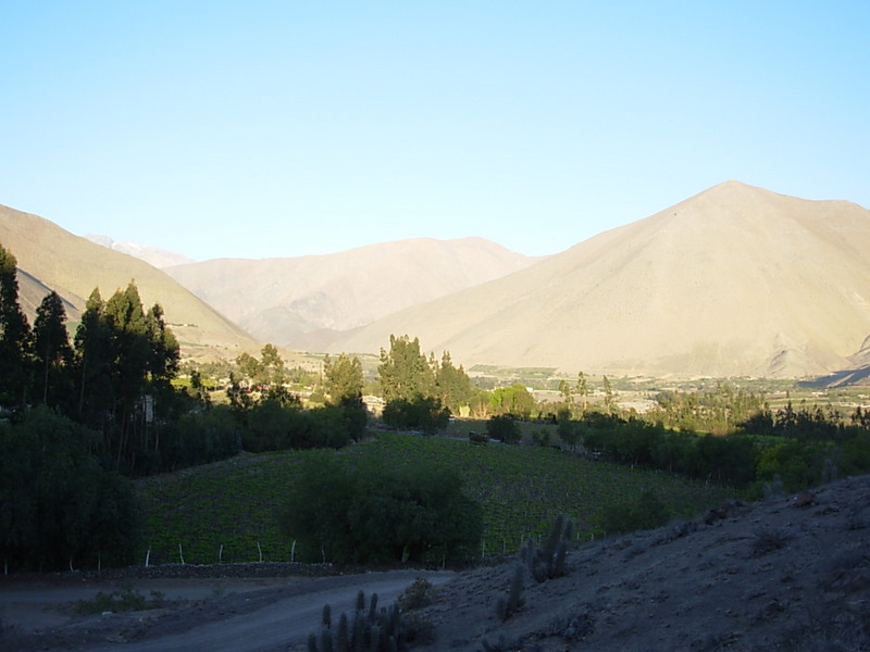 Foto de Vicuña, Chile