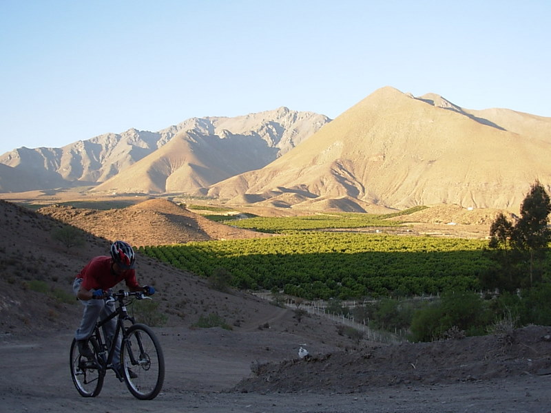 Foto de Vicuña, Chile