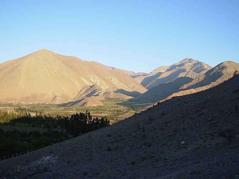 Foto de Vicuña, Chile