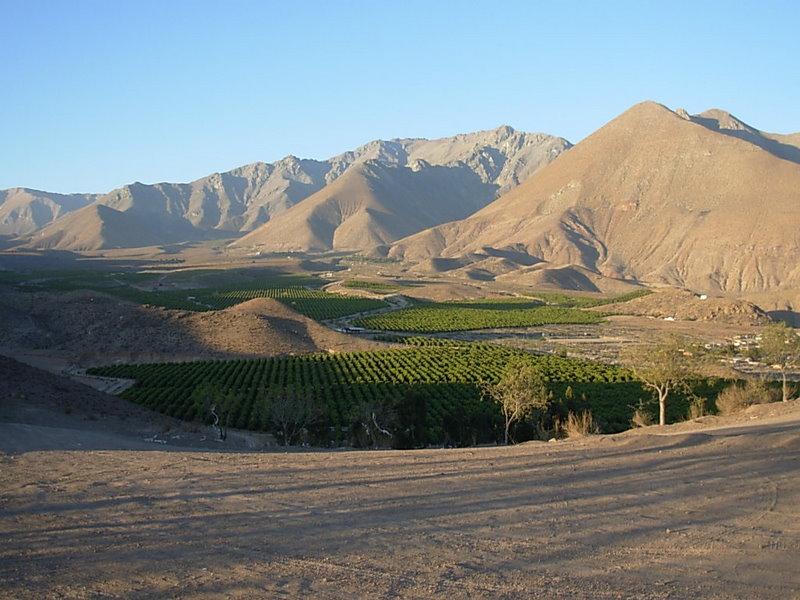 Foto de Vicuña, Chile