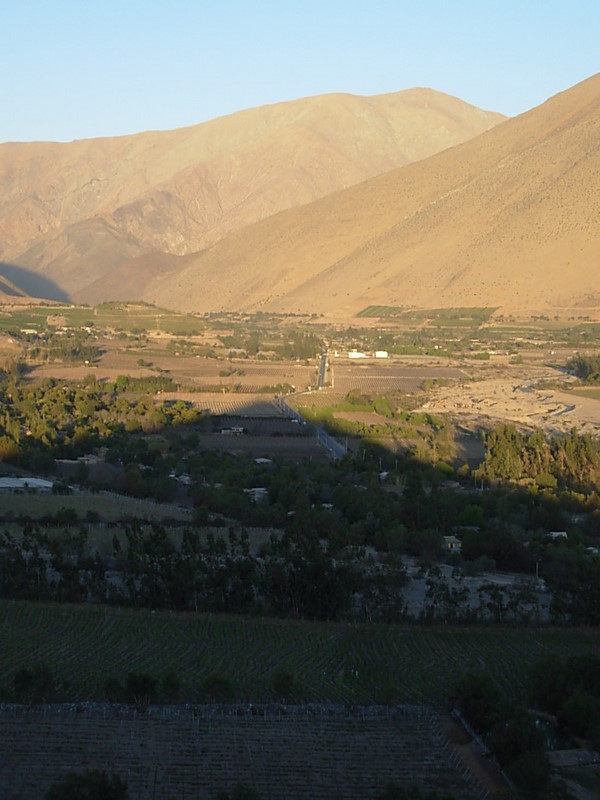 Foto de Vicuña, Chile