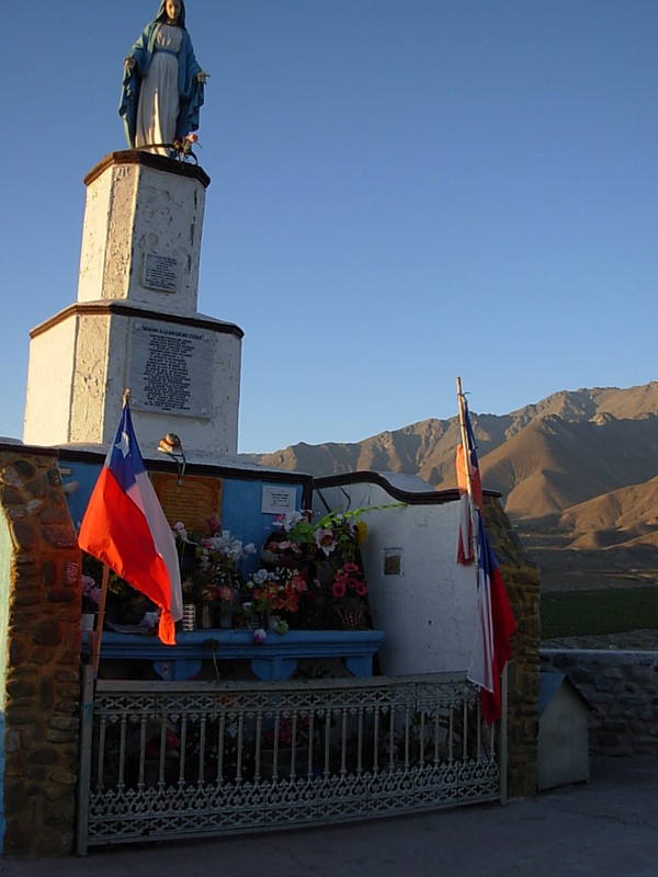 Foto de Vicuña, Chile