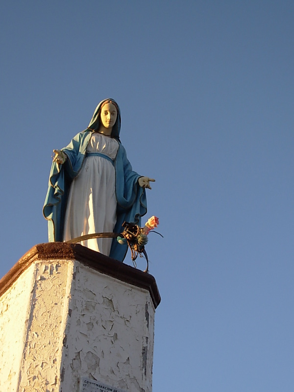 Foto de Vicuña, Chile