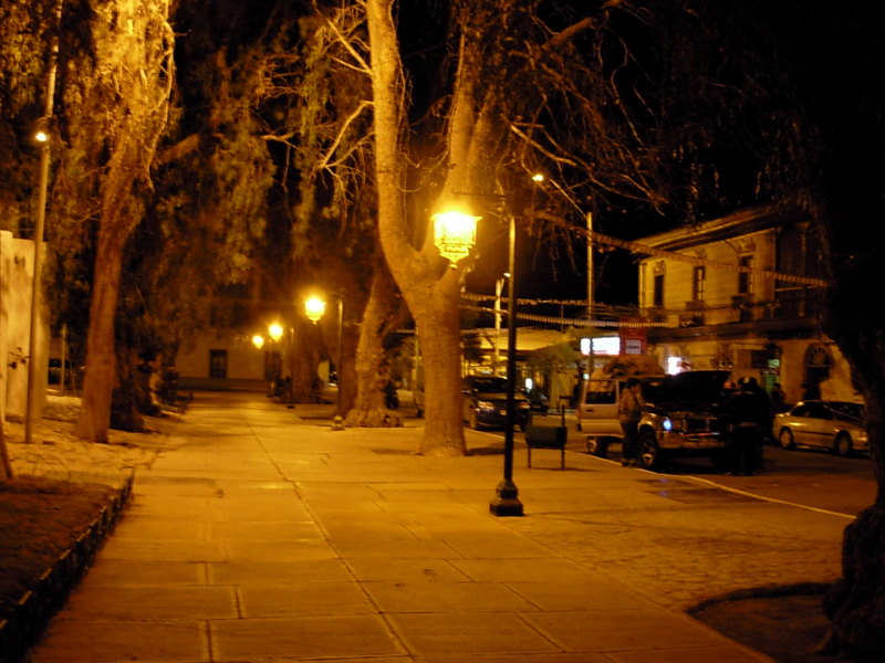 Foto de Vicuña, Chile