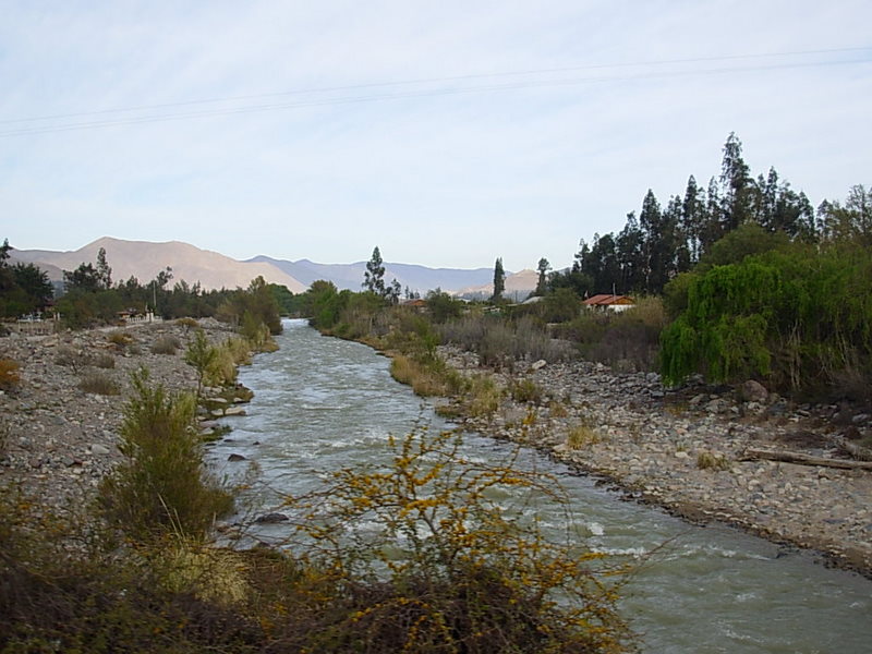 Foto de Vicuña, Chile