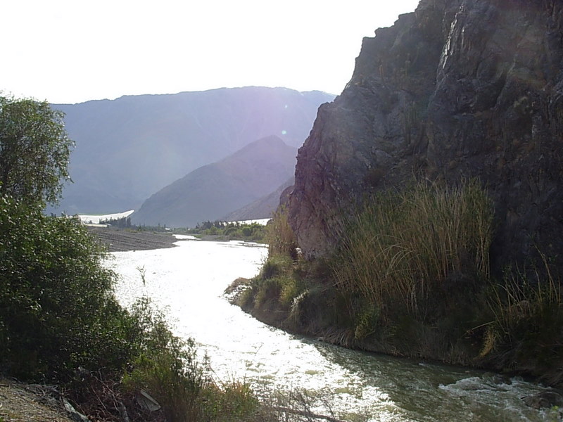 Foto de Vicuña, Chile