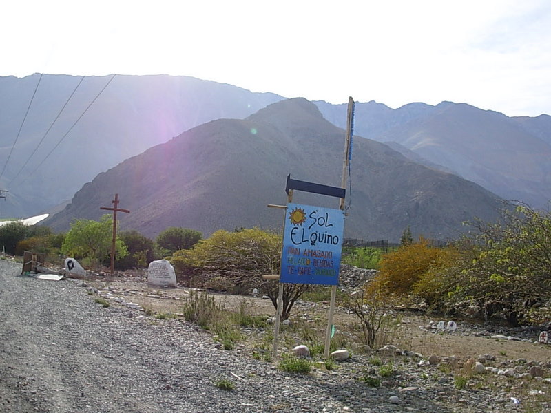 Foto de Vicuña, Chile