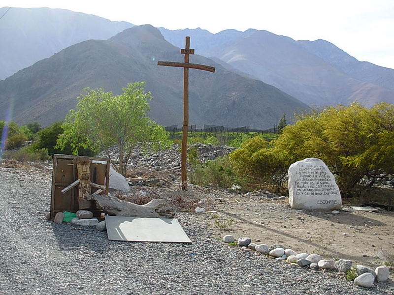 Foto de Vicuña, Chile