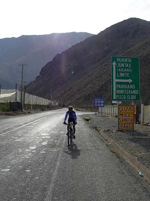 Foto de Vicuña, Chile