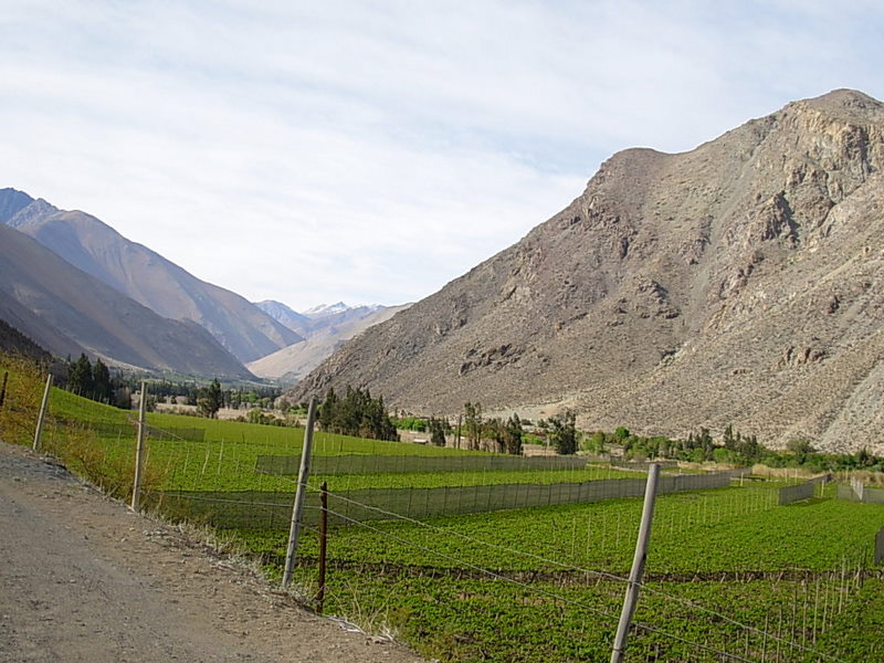 Foto de Paihuano, Chile