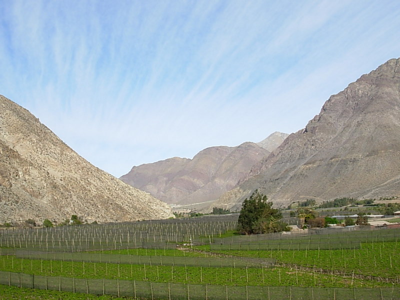 Foto de Paihuano, Chile