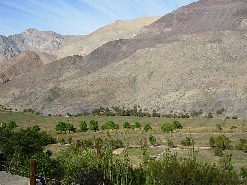 Foto de Paihuano, Chile