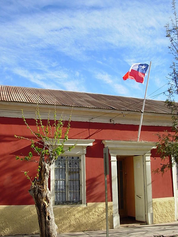 Foto de Vicuña, Chile