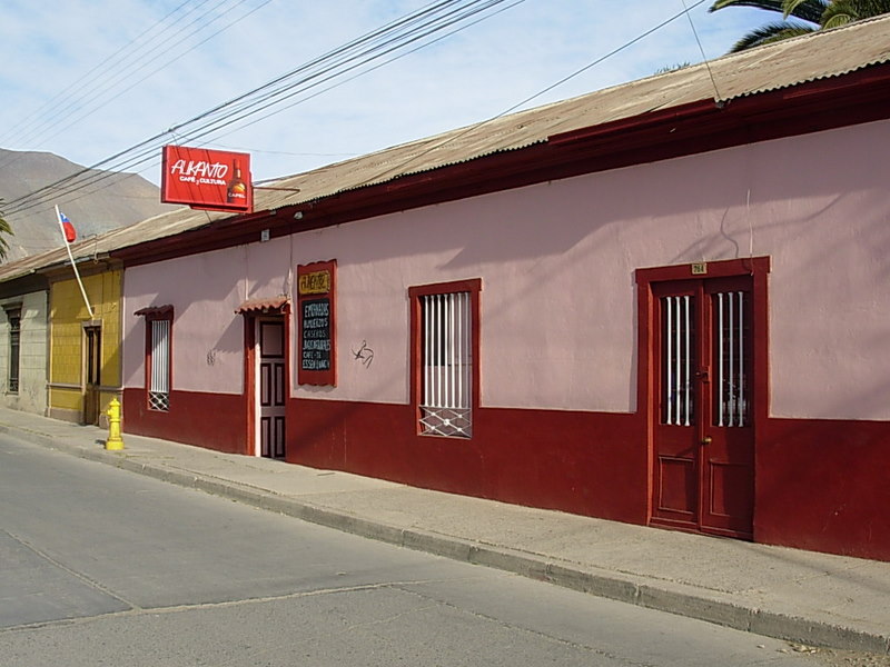 Foto de Vicuña, Chile